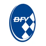 Logo Oberliga - Bayern Süd