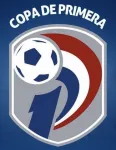 Logo Division Profesional - Clausura