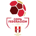Logo Copa Federacion