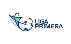 Logo Primera Division